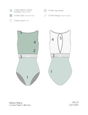 IRIS DI 2023 ⸱ Custom made leotard