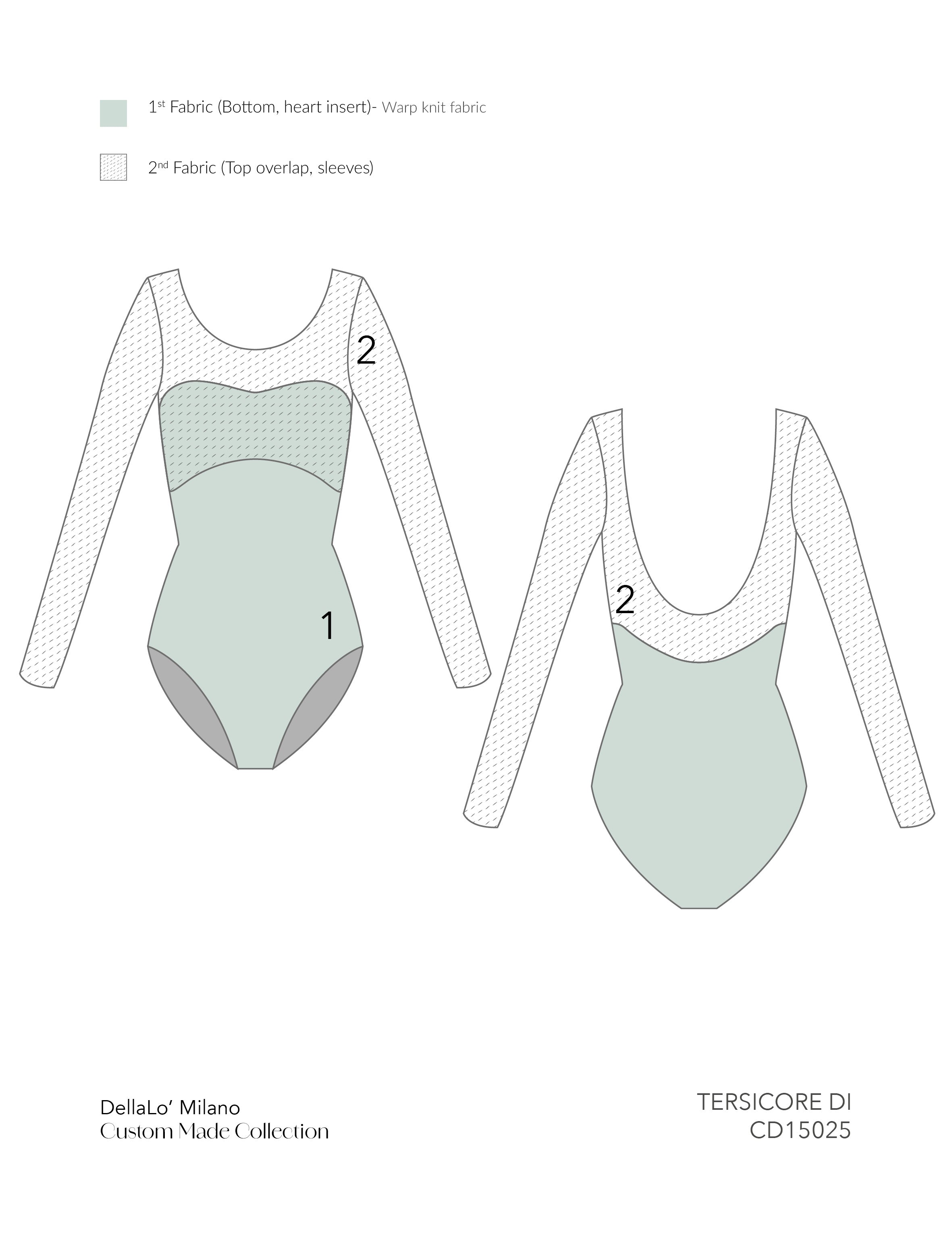 TERSICORE DI 2017⸱ Custom made leotard